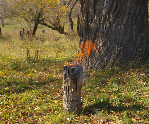 Swedish Fire log survival torch cooking fire