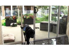 Autoslide sales pet door