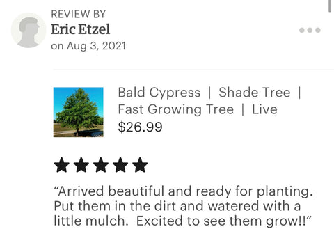 Bald cypress tree ratings