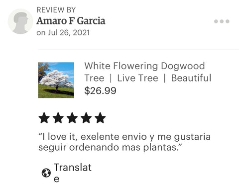 White flowering dogwood rating