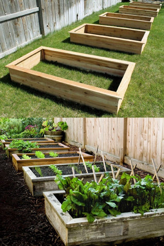 Raised bed garden