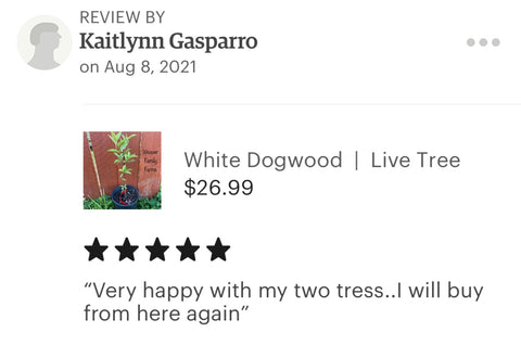 White dogwood reviews