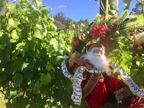 Santa in the vineyard.
