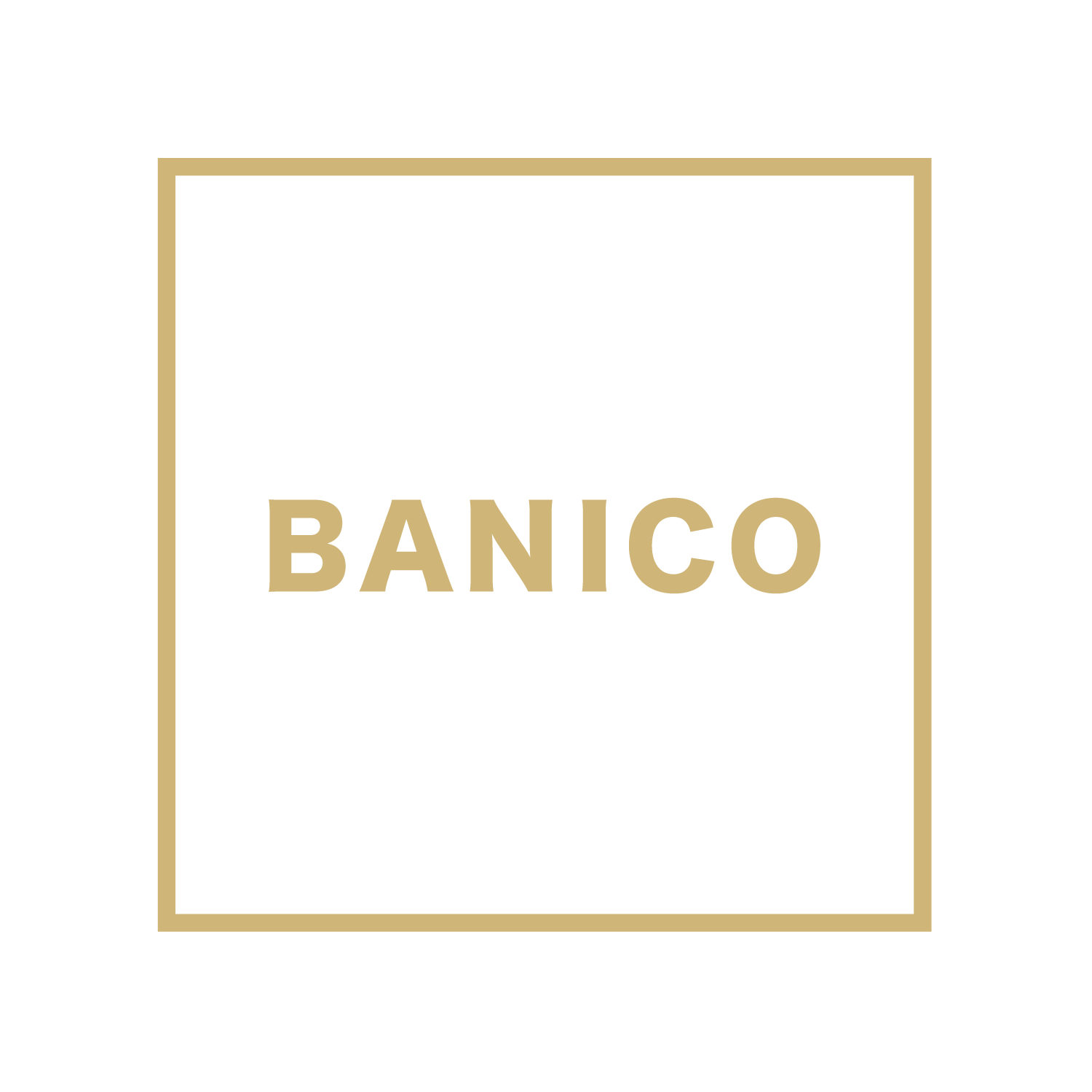 BANICO_logo.png__PID:f2d8e34b-f4b9-481c-ad95-8114d51fe24b