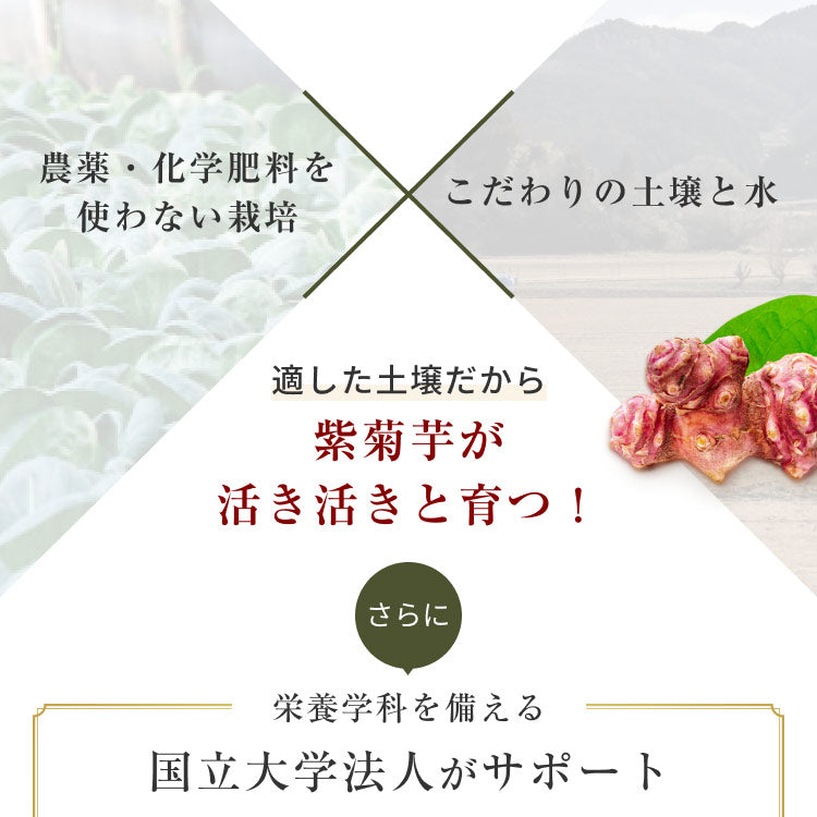 栄養価が高い 無農薬栽培 化学肥料不使用 こだわりの土壌