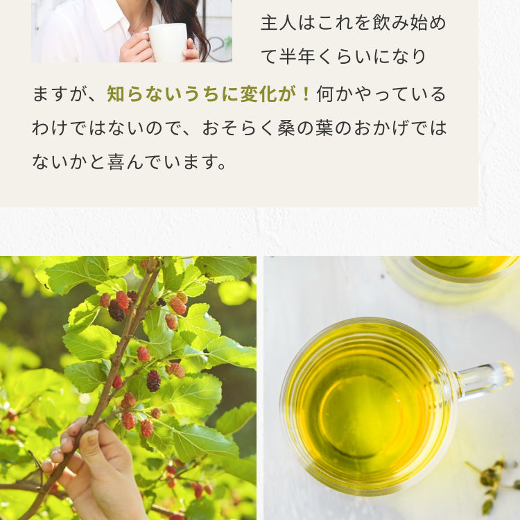 桑の葉茶 ユーザーボイス