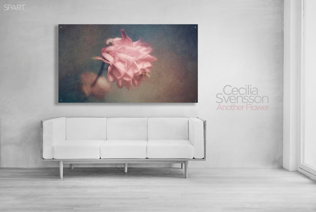 Photo Art | Plexi Another Flower By Cecilia Svensson | SPART