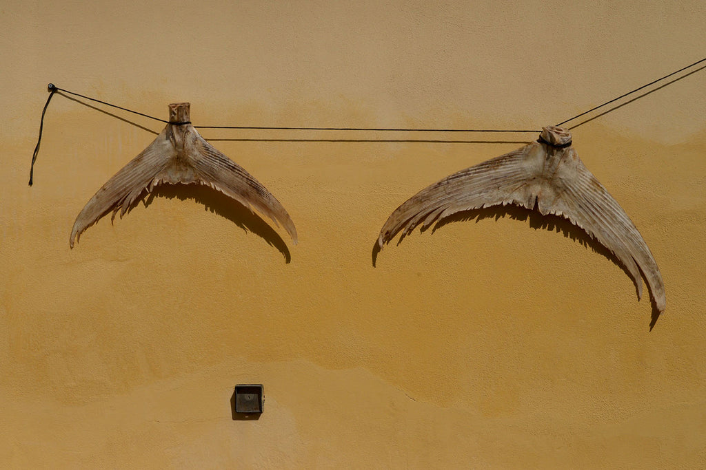 Dried Fish by Johan Brink | Street Photography SPART