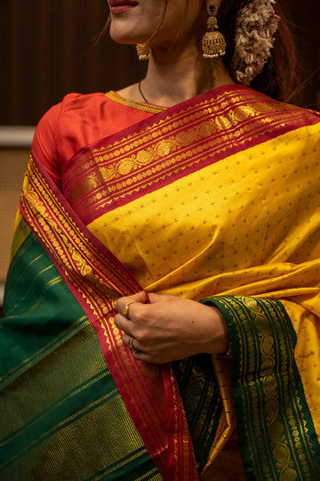 Clio - Top Silk Saree Boutique in Chennai