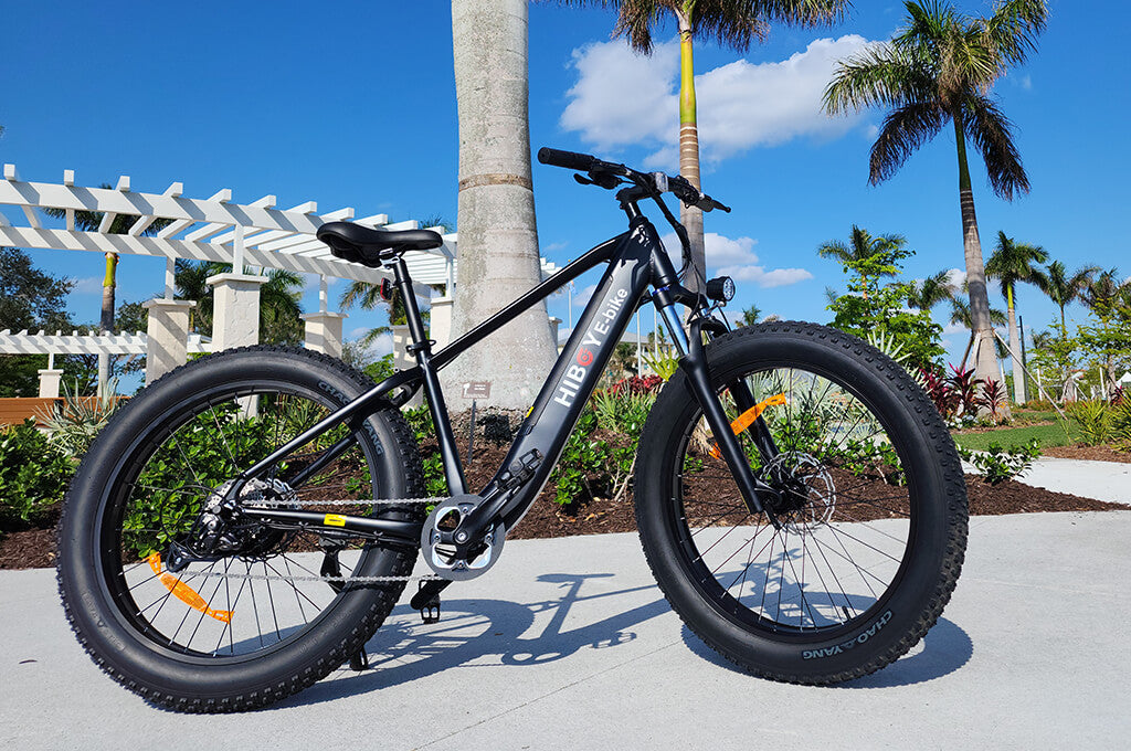 why buy an electric bike?