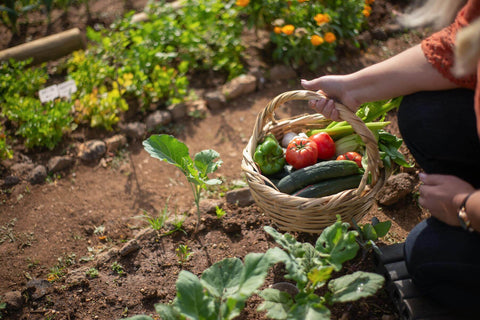 Gardener's Harvest Basket