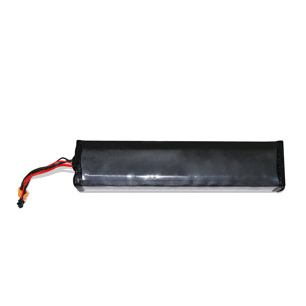 Hiboy S2/KS4 Battery