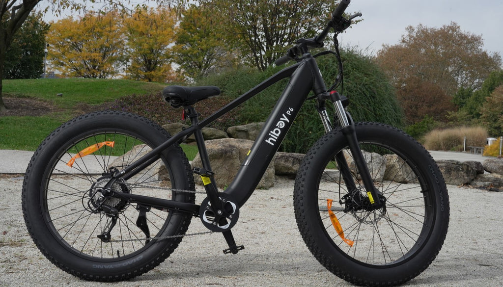 An Hiboy E-Bike Landing In the Park