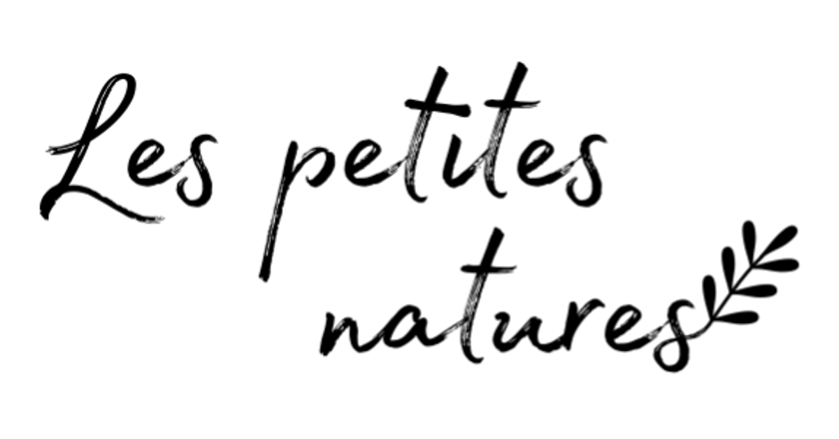 Organic Underwear - Off White – Les Petites Natures