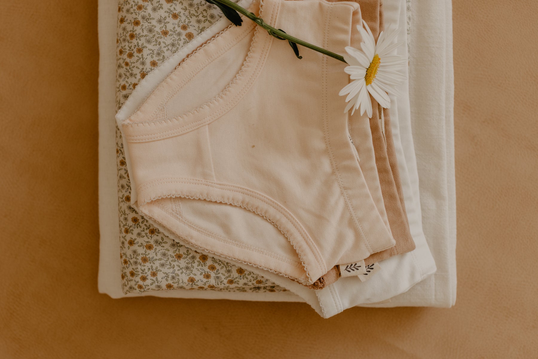 Organic Cotton Girl's Panties-GIRAFFE - Little Spruce Organics