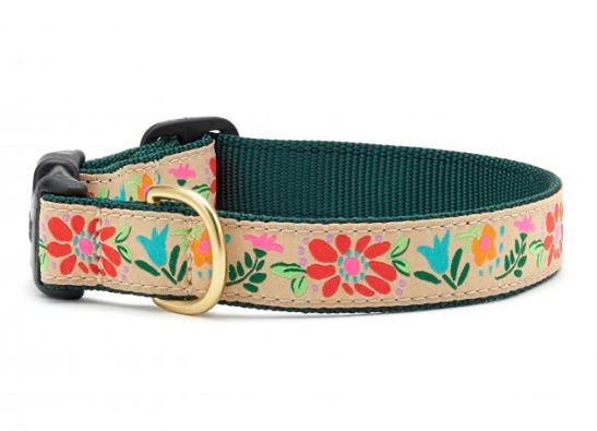 upcountry dog collars