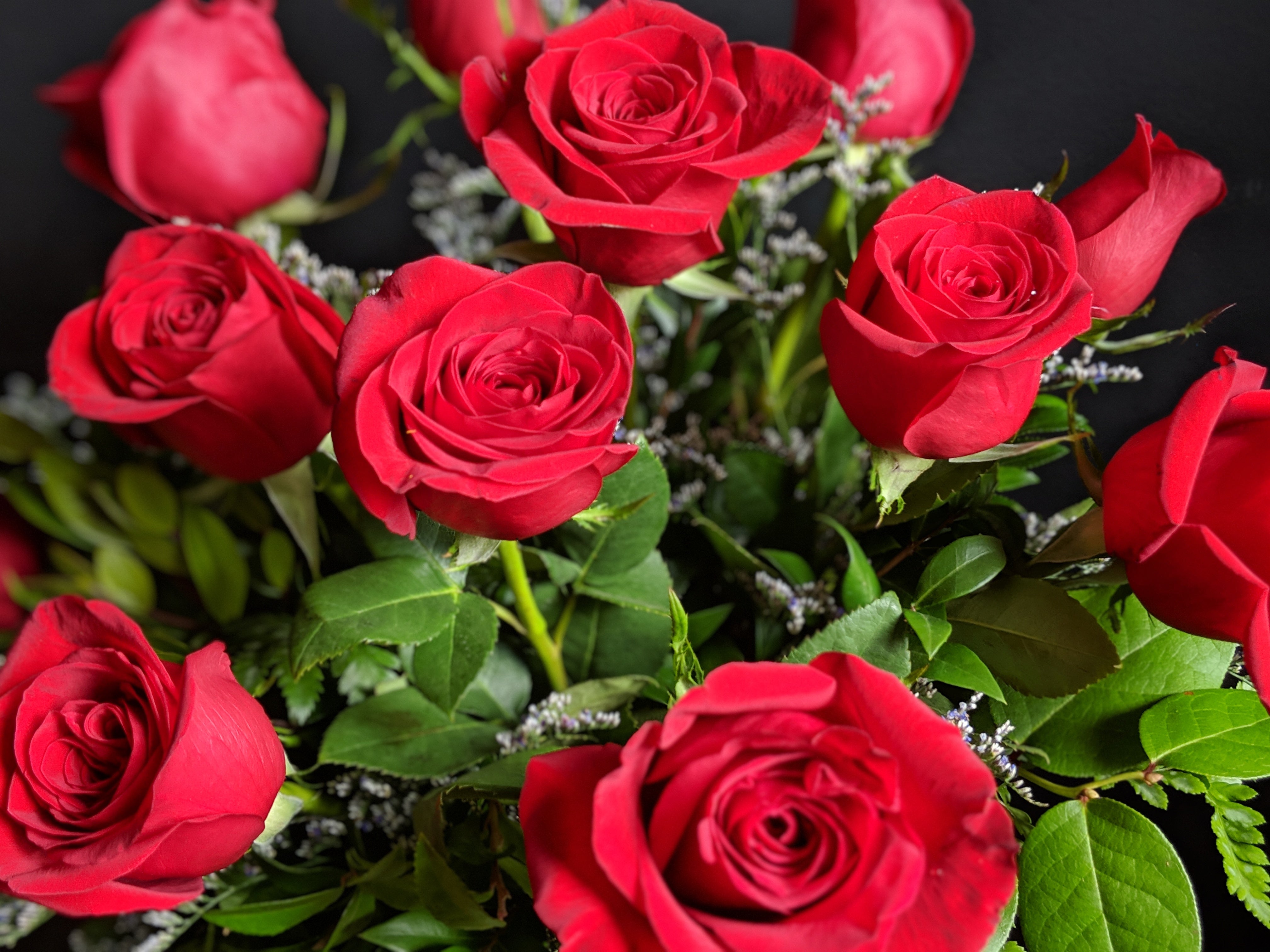 Roses – Ithaca Flower Shop