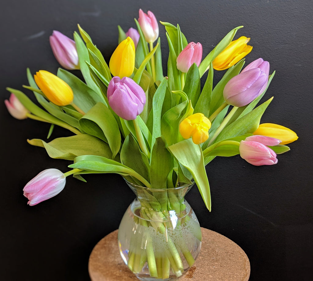 Colorful Tulips – Ithaca Flower Shop