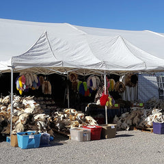 Tucson Gem and Mineral Show - Stagecoach