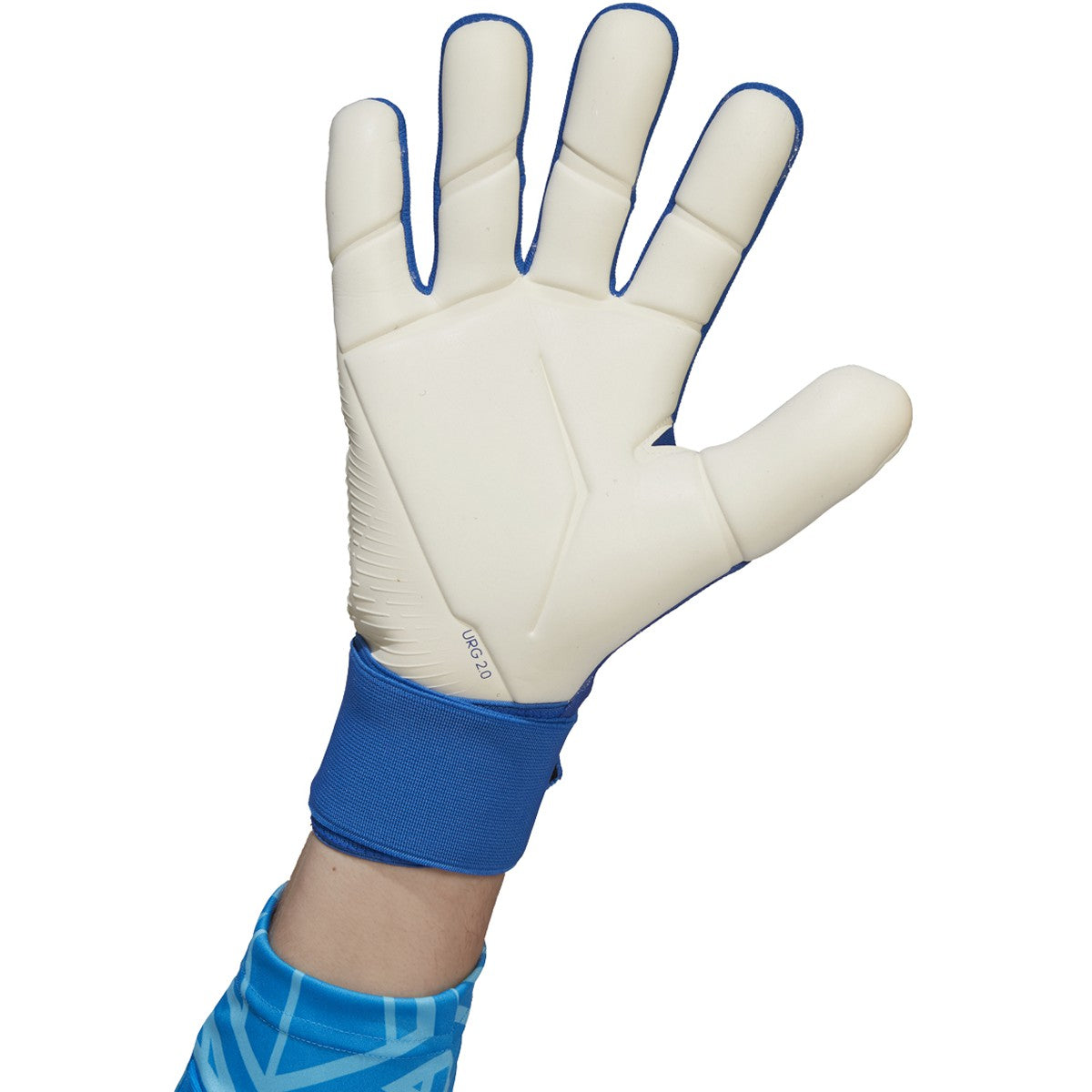 Origineel Ijver Alternatief voorstel adidas Predator Glove Competition | H43776 | Goal Kick Soccer