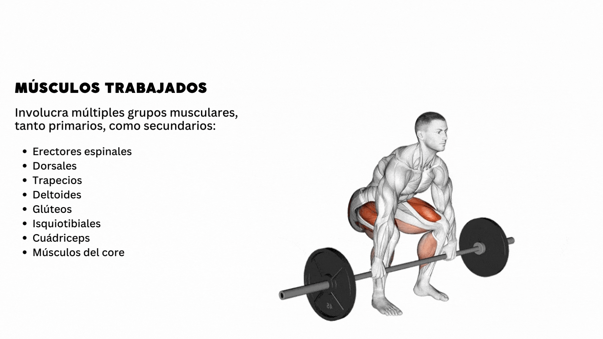 How to do the deadlift and what muscles it works