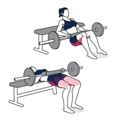 Dumbbell Hip Thrust