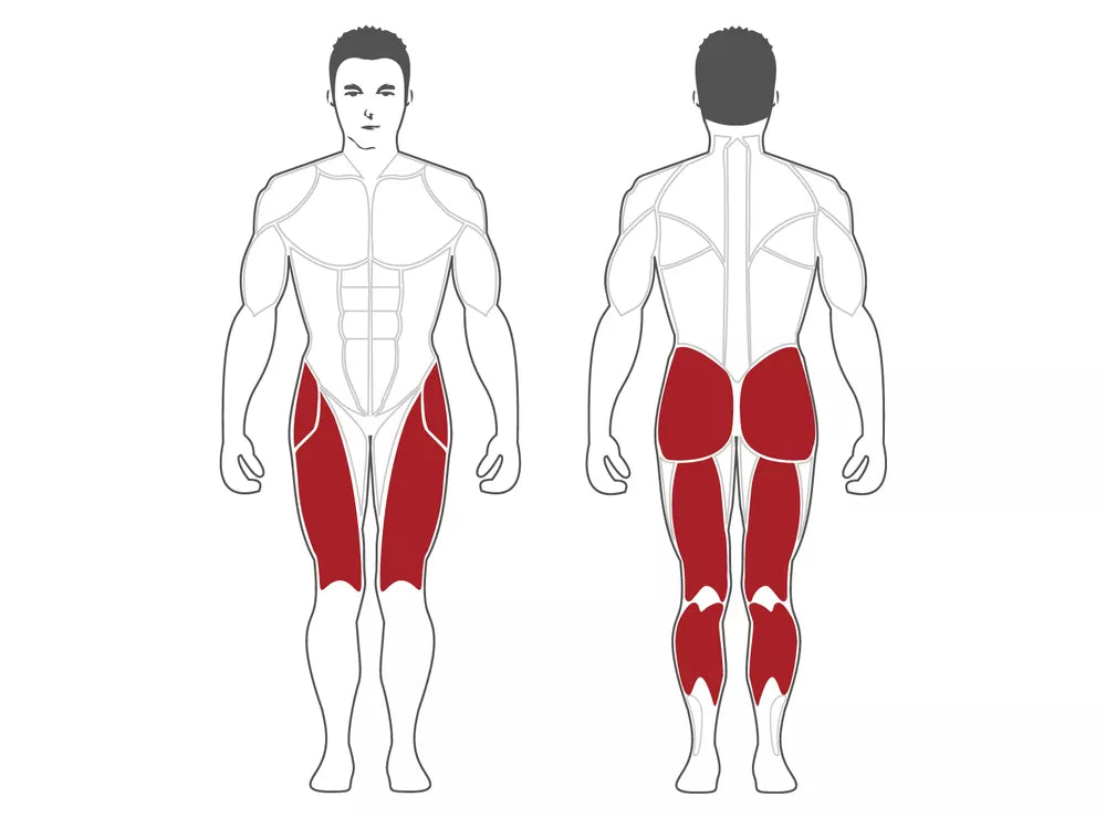 APARATO ABDOMINALES AB DOMINOX