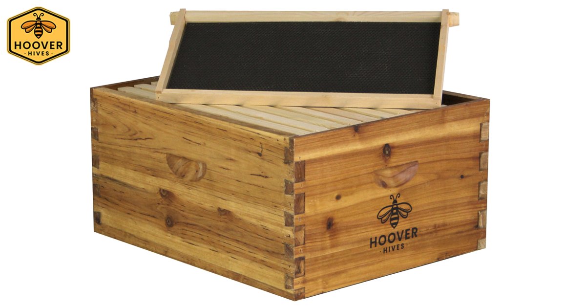 Angled View Of A Wax Coated Wooden Hoover Hives Deep Brood Box With A Deep Frame And Black Foundation Propped Up On The Box