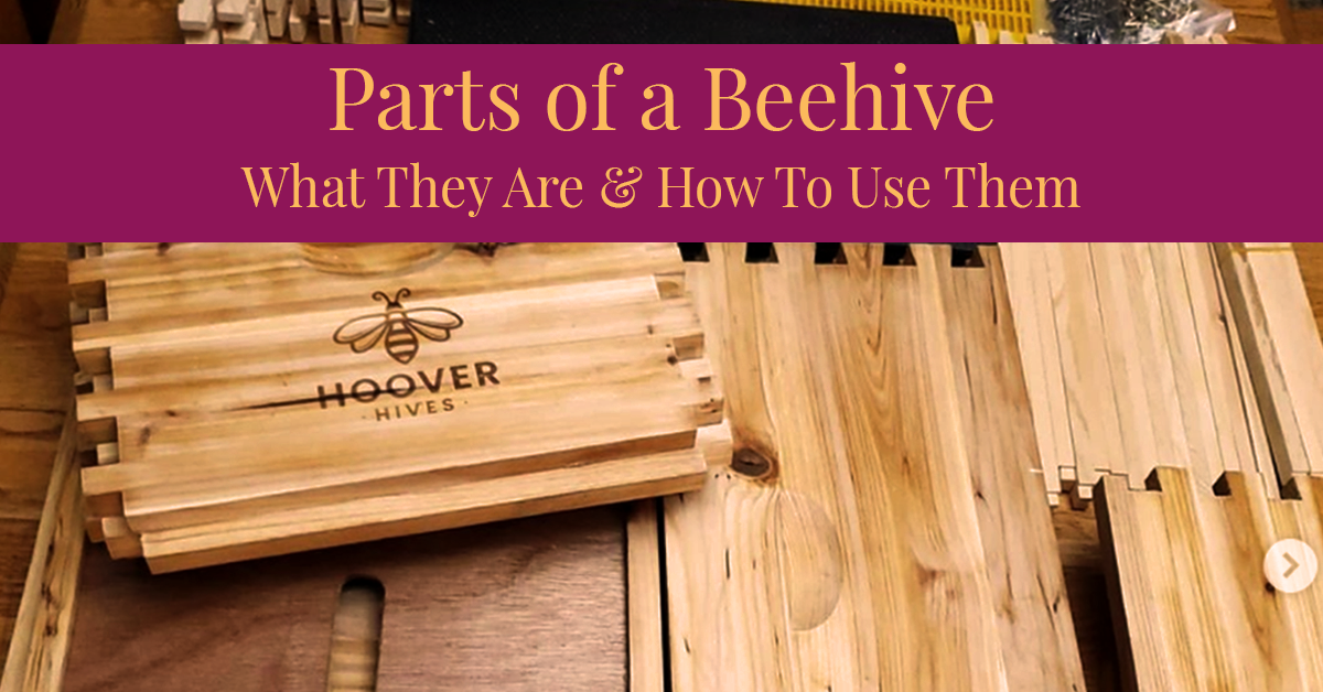 Scattered Wax Coated Wooden Hoover Hives Parts With Title Banner That Says Parts of a Beehive What They Are & How To Use Them