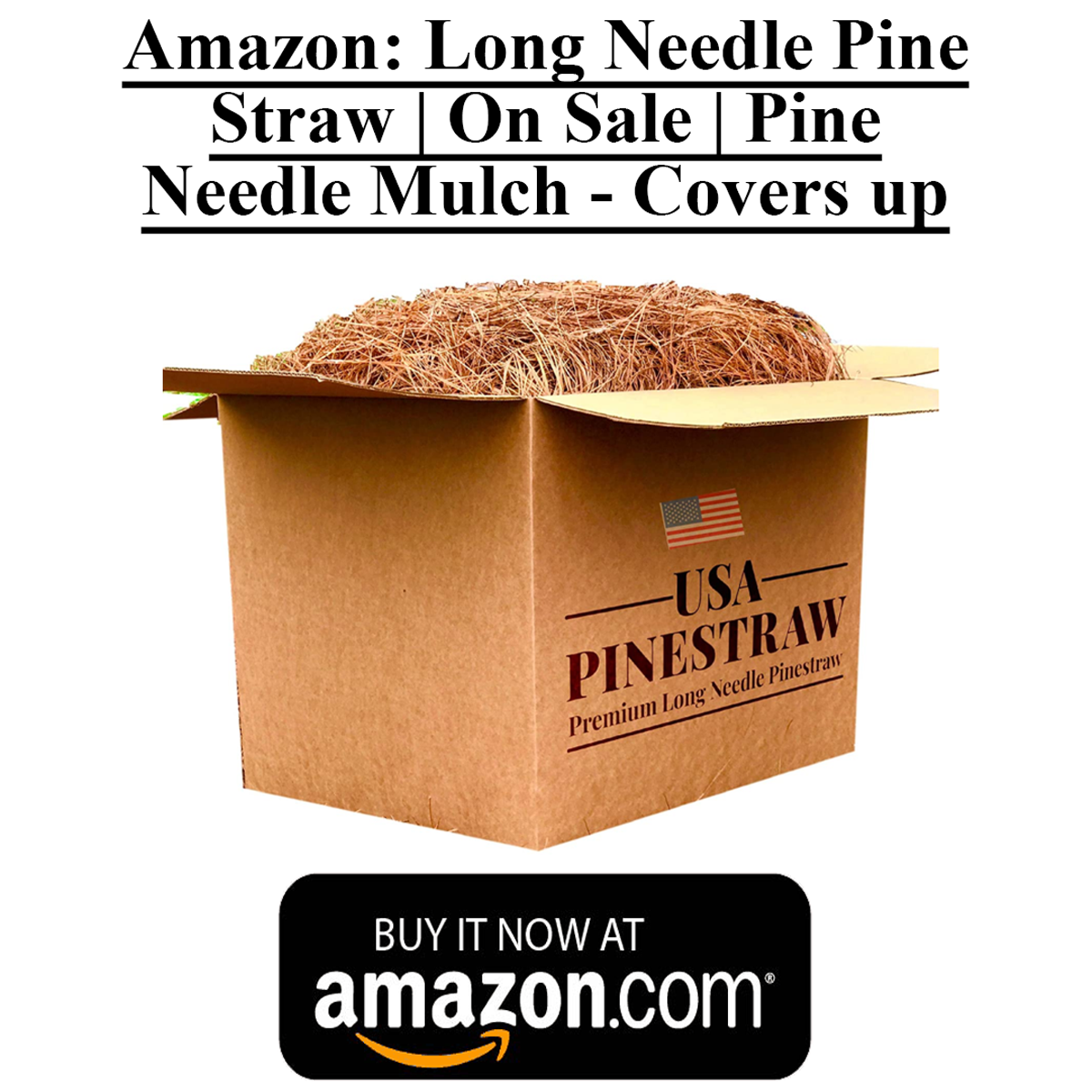 Box Of Long Pine Needles That You Can Purchase On Amazon. Pine Needles Are Ideal For Beekeeping Smokers. Made In The USA