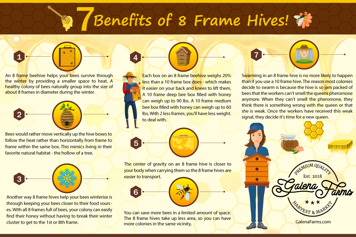 Why Choose an 8 Frame Beehive? - Galena Farms