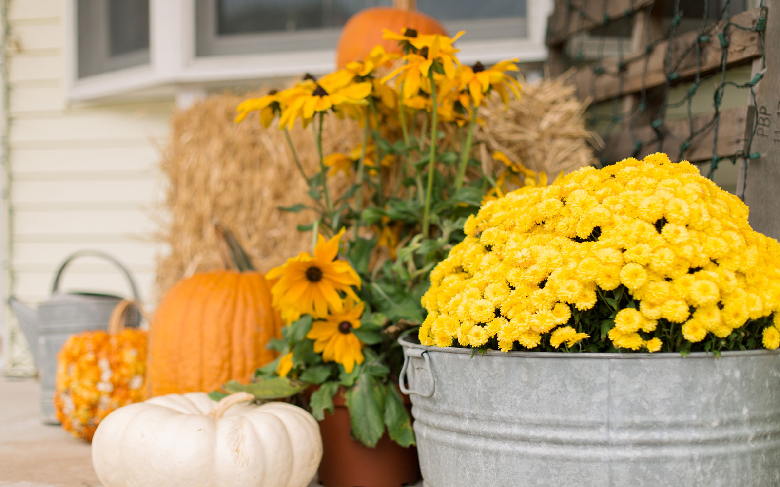 Decorate your home for fall with front porch planters