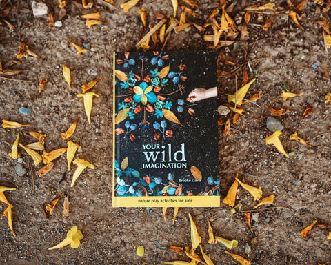 Your Wild Imagination Brooke David Book Cover