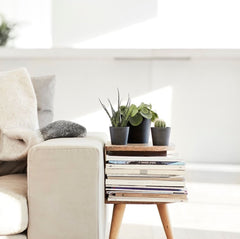 EcoPots-couch-sofa-side-table-magazines-indoor-plants