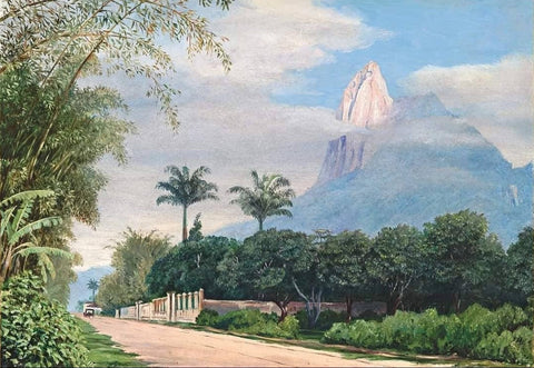 Marianne North Rio de Janeiro Brazil