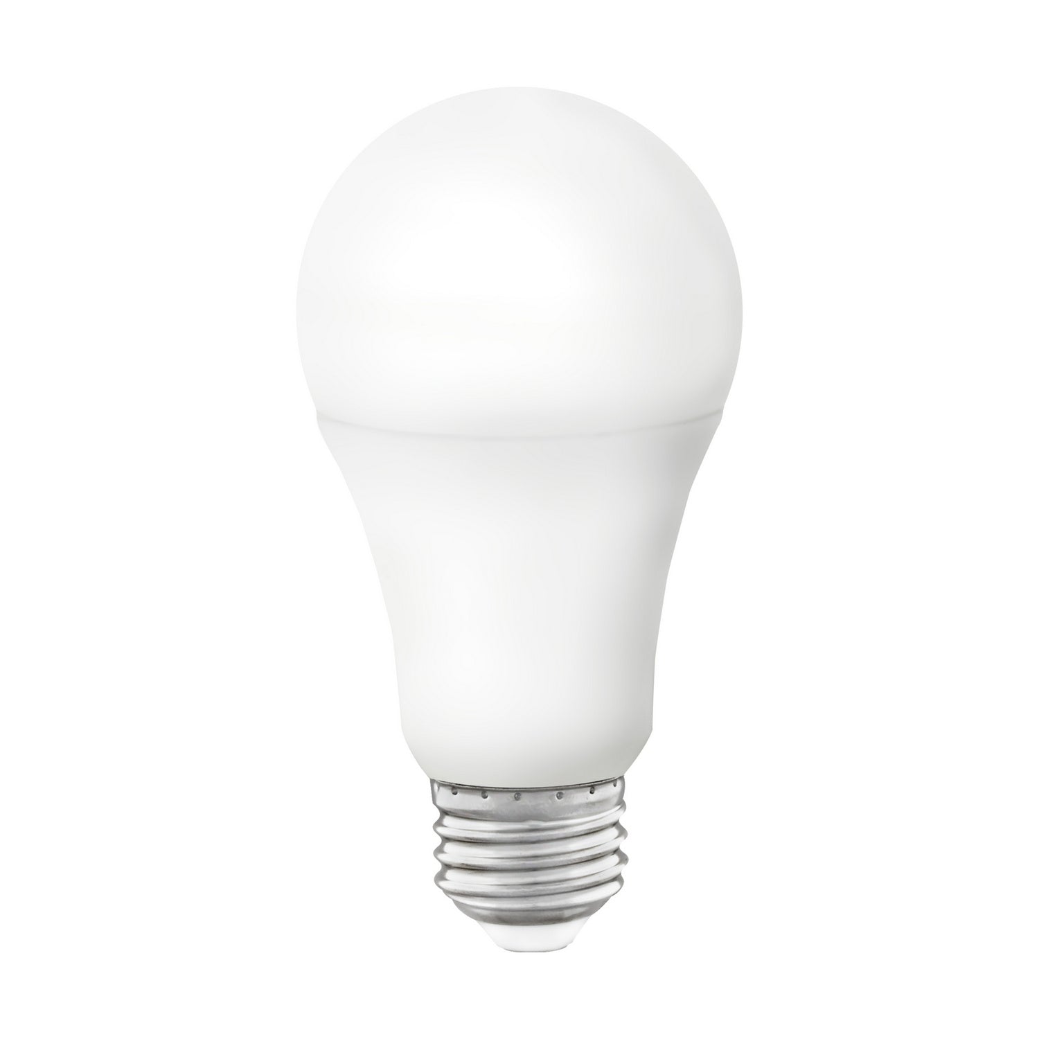 Light Bulb S11254