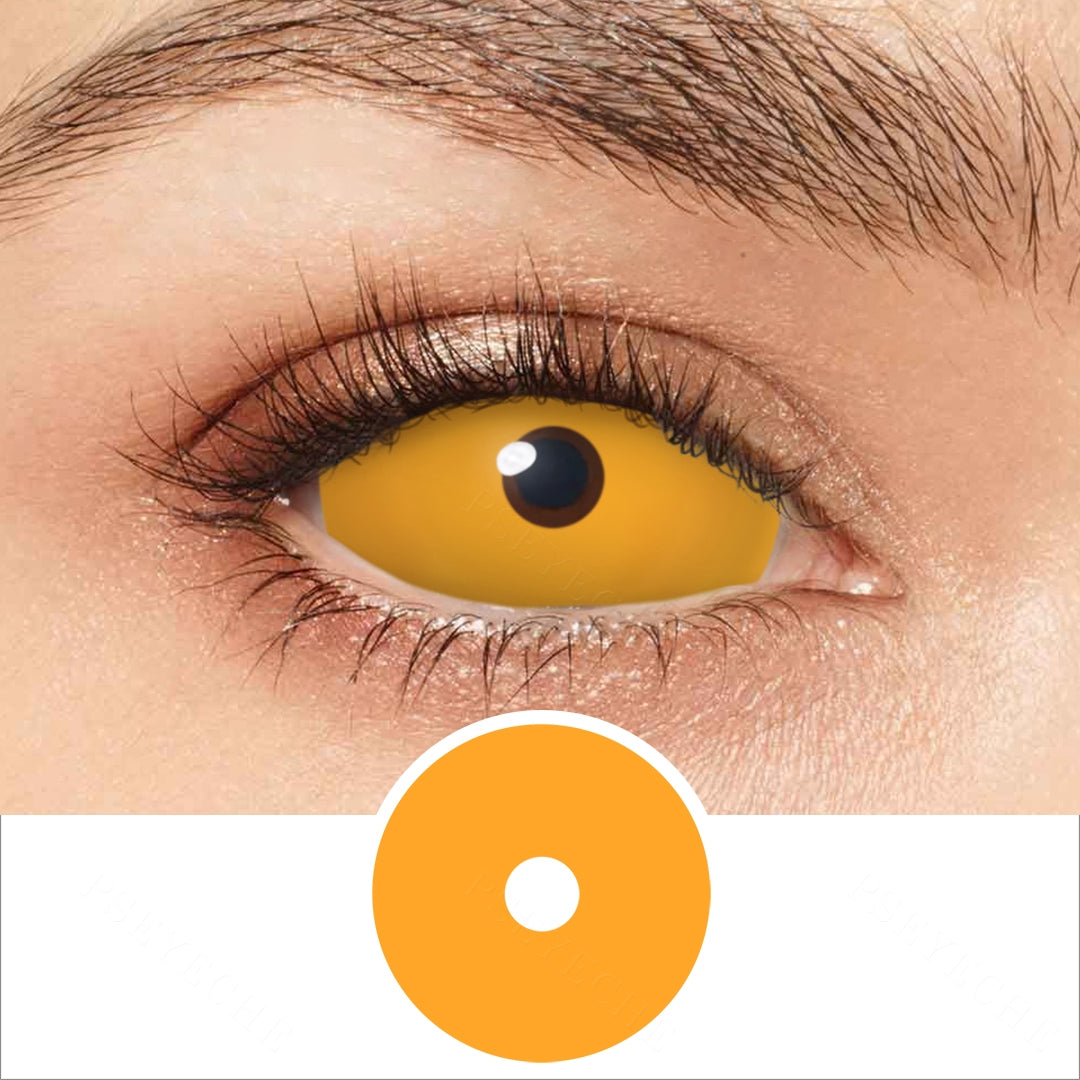  Vision PsEYEche  contact lens