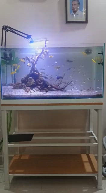 Sparkenzy Aquarium Stand With Wooden Cabinet