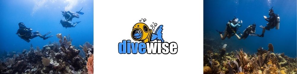 Become a Divemaster