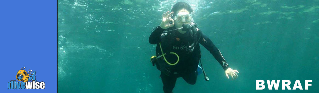 Rules For Scuba Diving