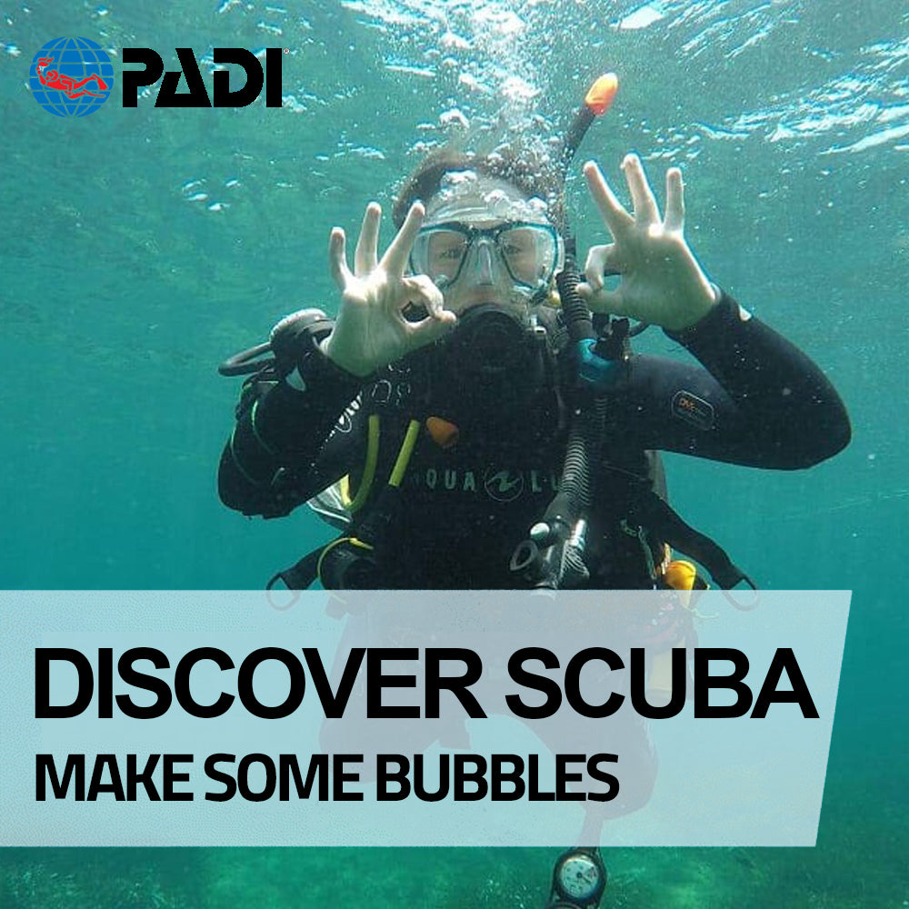 Padi Discover Scuba Diving Divewise Malta Divewise