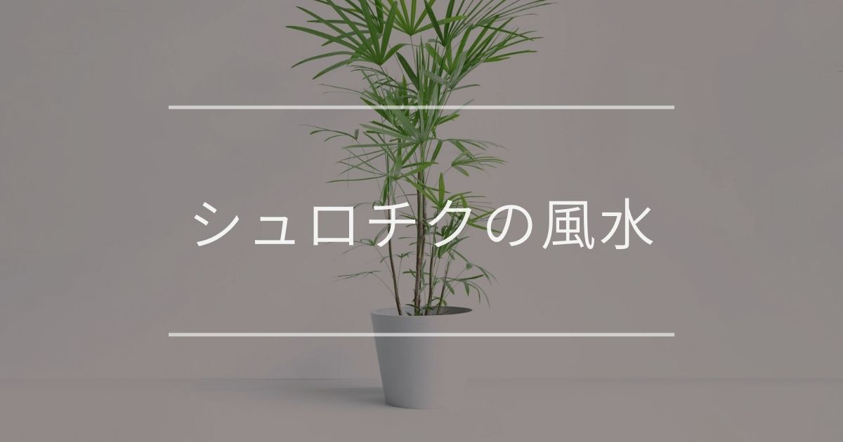 シュロチク 雲南シュロチク の風水 置き場所と育て方について 観葉植物通販 And Plants