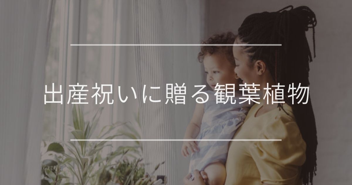 出産祝いに贈る観葉植物 素敵な花言葉をもつおすすめギフトと贈り方を紹介 観葉植物通販 And Plants