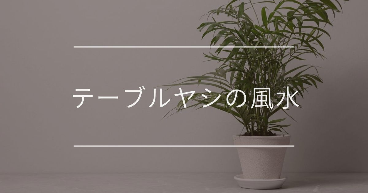 テーブルヤシの風水 置き場所と育て方について 観葉植物通販 And Plants