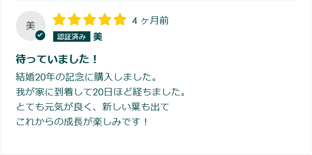 フィカス・ベンガレンシスのレビュー