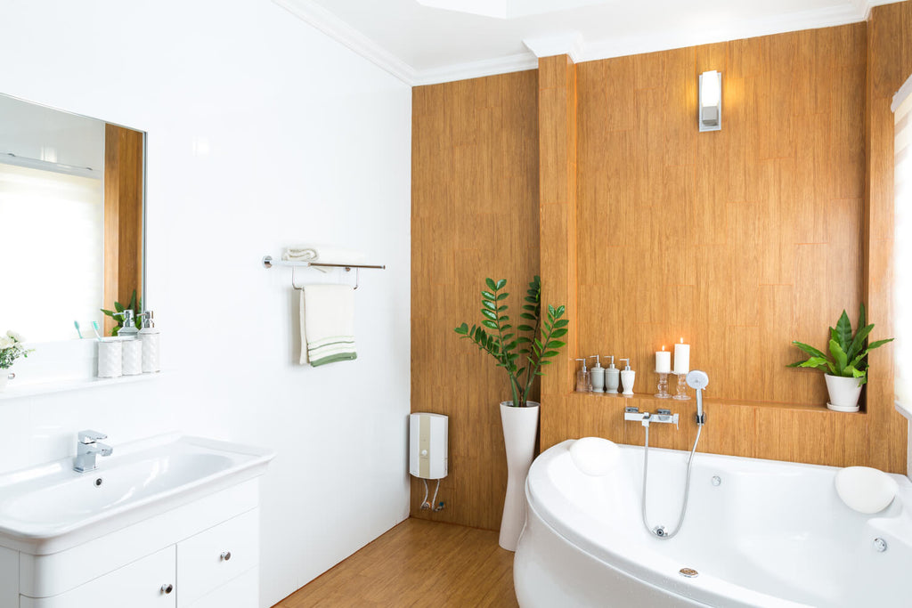 浴室におすすめの観葉植物10選 風水効果や選び方 管理方法まで解説 観葉植物通販 And Plants