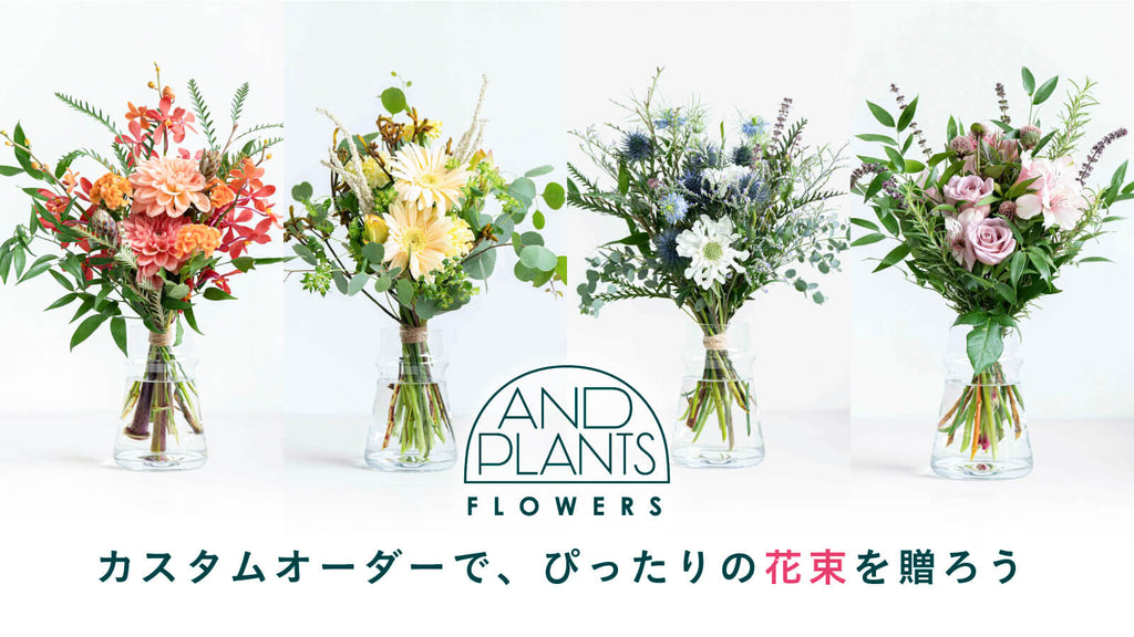 花束にあわせる花の色 選び方とおすすめの紹介 観葉植物通販 And Plants