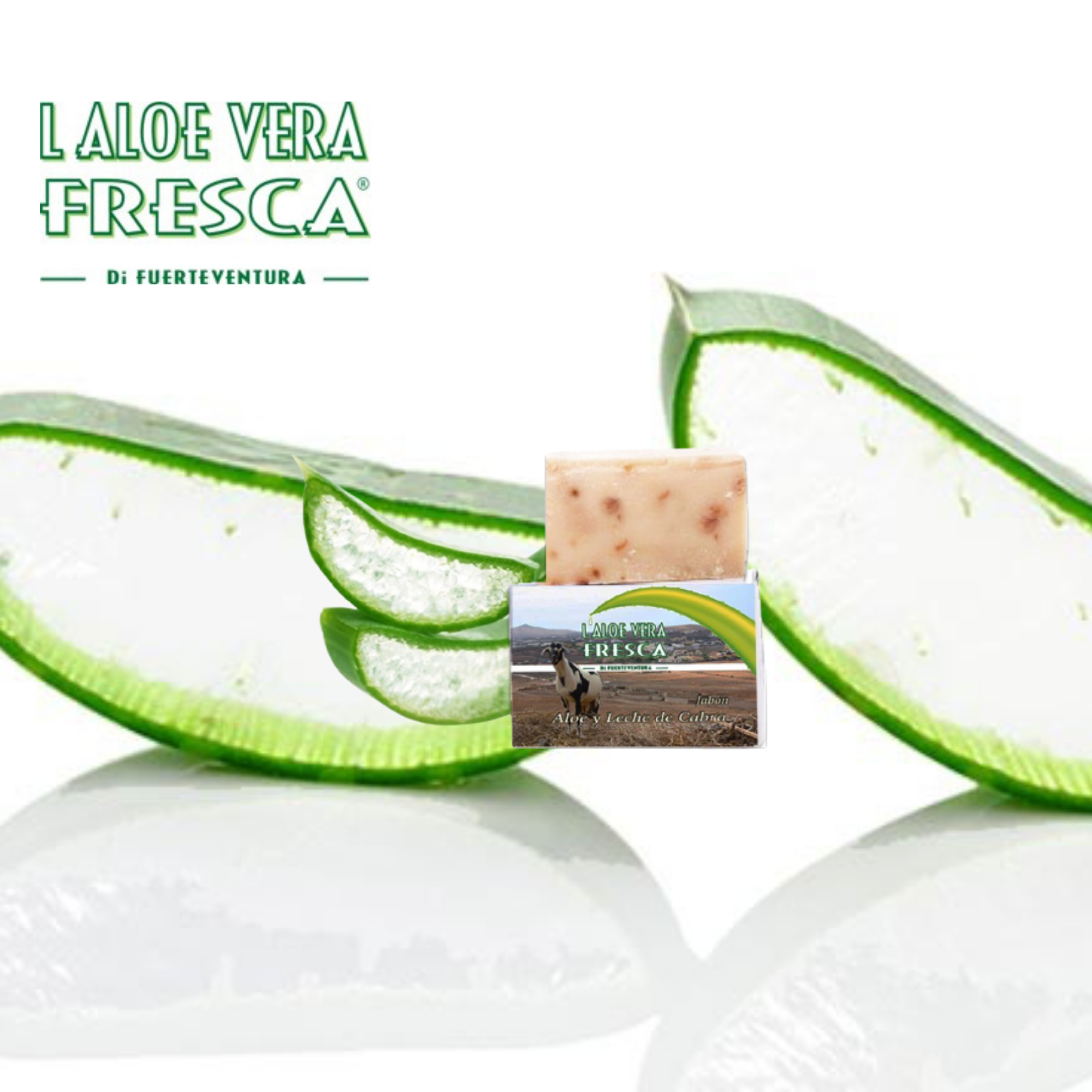 Savon Aloe Vera et Lait de chèvre Bio