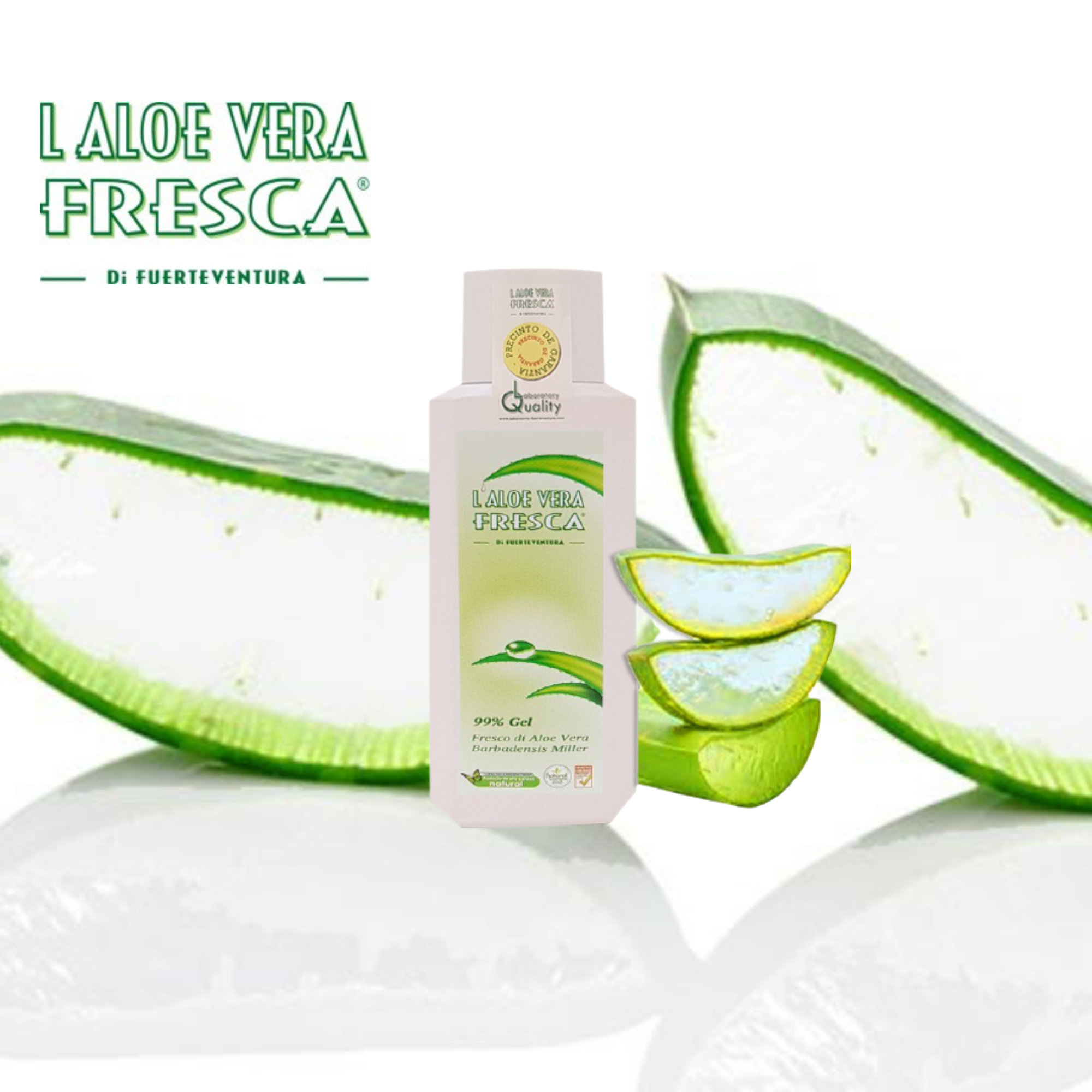 Gel Aloe Vera des Canaries Pur