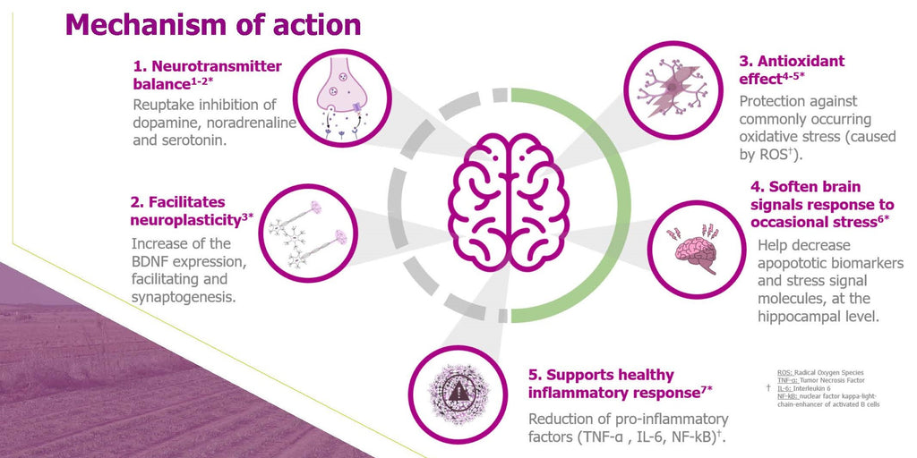 Affron Mechanism of Action